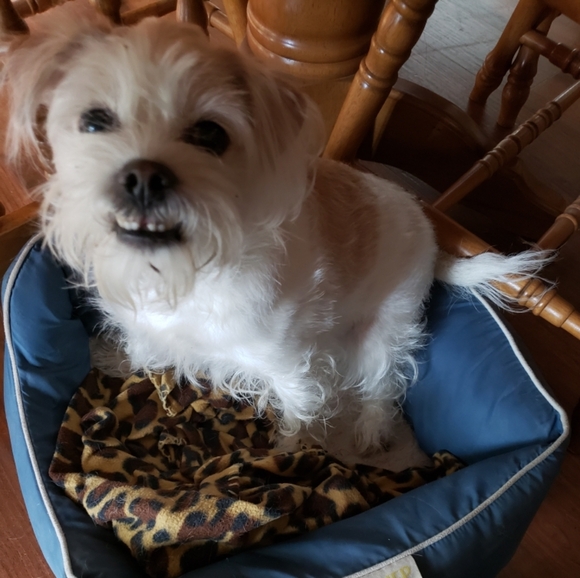 Zap and Zam💜PRICES DROPPED! Let's share & make some Posh Sales!!!✨💖🔮💌 - Picture 8 of 11